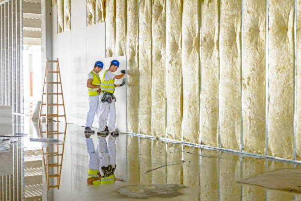 Best Eco-Friendly Insulation in Gregory, SD